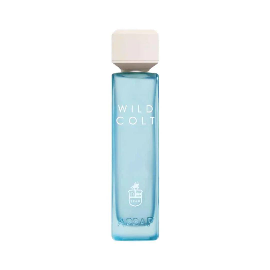 Assaf Wild colt