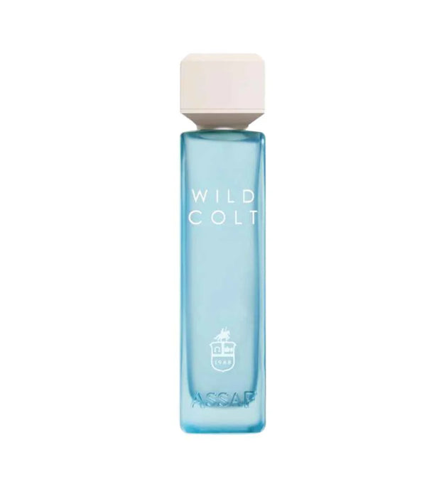 Assaf Wild colt